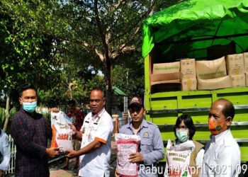 PT Pertani Pasok Benih Jagung Hibrida untuk 15.485 Hektare ke Beberapa Wilayah