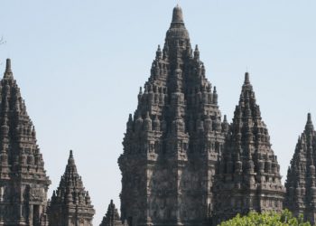 Lewat Program Orangtua Asuh Nyamuk Wolbachia, TWC Dukung Pengentasan Demam Berdarah di Sleman