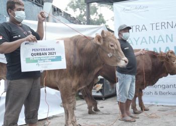 Grup Astra Serahkan 2.379 Hewan Kurban Ke 34 Provinsi