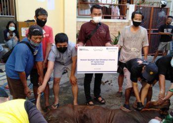 Jamkrindo Sebar Hewan Kurban untuk Masyarakat Terdampak Pandemi Covid-19