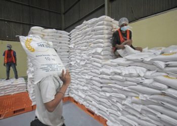 BULOG Gunakan Mesin Rice To Rice, Beras yang Disalurkan Dijamin Berkualitas Baik