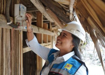 Terangi 572 Warga Terdepan Perbatasan RI-Australia, PLN Gelontorkan Anggaran Segini