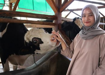 Frisian Flag Indonesia Gelar Program Kartini Peternak Indonesia, Pesertanya Kartini-Kartini Cantik