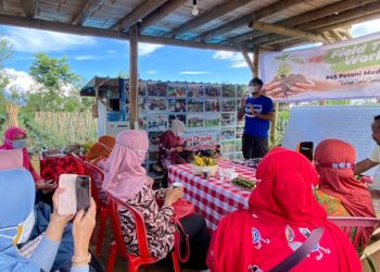 Pentingnya Sistem Berkelanjutan, Petani Muda Berharap Dilibatkan Program Food Estate