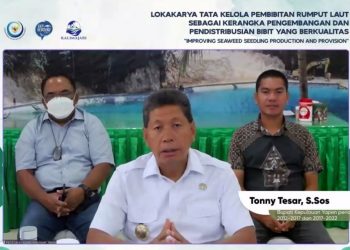 Gandeng KKP, Yayasan Kalimajari Siapkan Masyarakat Pesisir Indonesia Tingkatkan Produktivitas Budidaya Rumput Laut