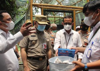 Uji Coba Pembukaan TMII dengan Penggunaan Aplikasi PeduliLindung