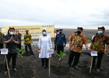 BTN Dorong Pembangunan Berkelanjutan