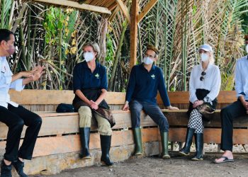 Kesan Para Dubes Ikut Tanam Mangrove Bersama Presiden Jokowi