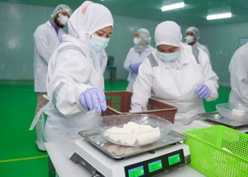 Mantap! Singkong Beku Pangan Lokal Indonesia Kini Mendunia