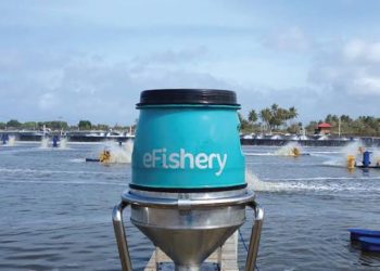 Ini Cara eFishery Melayani Nelayan dan Sukses Melewati Pandemi