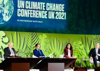 3 Pandangan Presiden Jokowi Jadikan Hutan Bagian Aksi Iklim Global