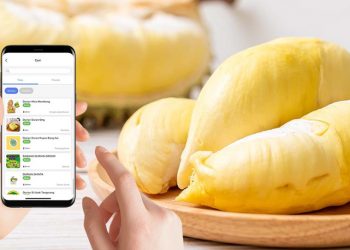 Serunya Berburu Durian lewat Aplikasi Wehelpyou