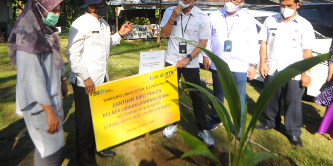 BTN Dorong Penanaman Bibit Kelapa Hibrida