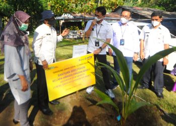 BTN Dorong Penanaman Bibit Kelapa Hibrida