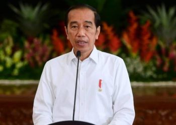 Indonesia Bergerak Menuju Ekonomi Hijau, Ini Kata Jokowi