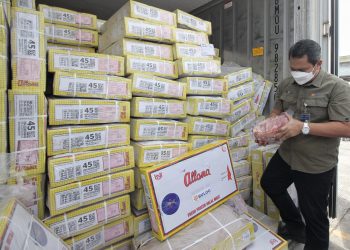 Daging Impor Bulog Tiba di Tanjung Priok