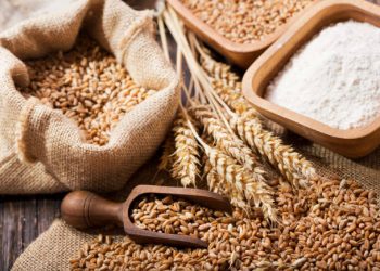 Impor Gandum Cs dari Ukraina Hancur-hancuran, Indonesia Mesti Cari dari Negara Lain