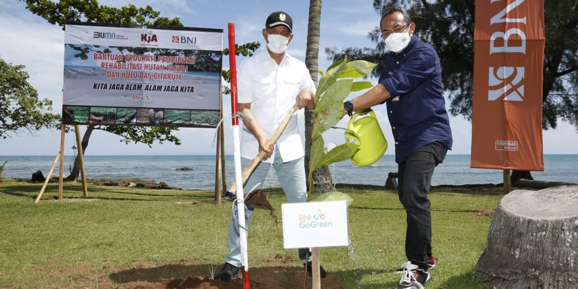 BNI Dukung Penanaman Pohon
