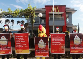 Aktivis Pecinta Hewan Protes Penggunaan Telur dari Kandang Baterai pada Restoran Cepat Saji
