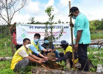 Bantu Tingkatkan Ekonomi Masyarakat, TSE Lakukan Penghijaun Di Papua