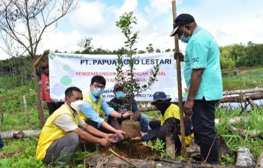 Bantu Tingkatkan Ekonomi Masyarakat, TSE Lakukan Penghijaun Di Papua