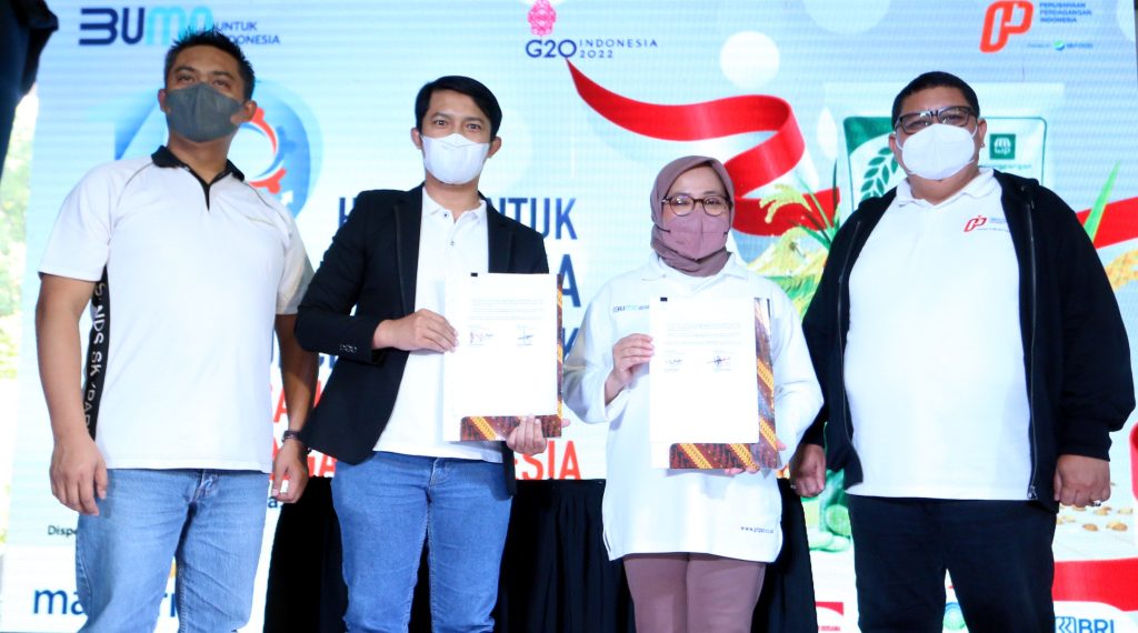 Kerjasama DUP dengan PPI