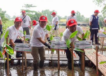Bank DKI Tanam Bibit Mangrove