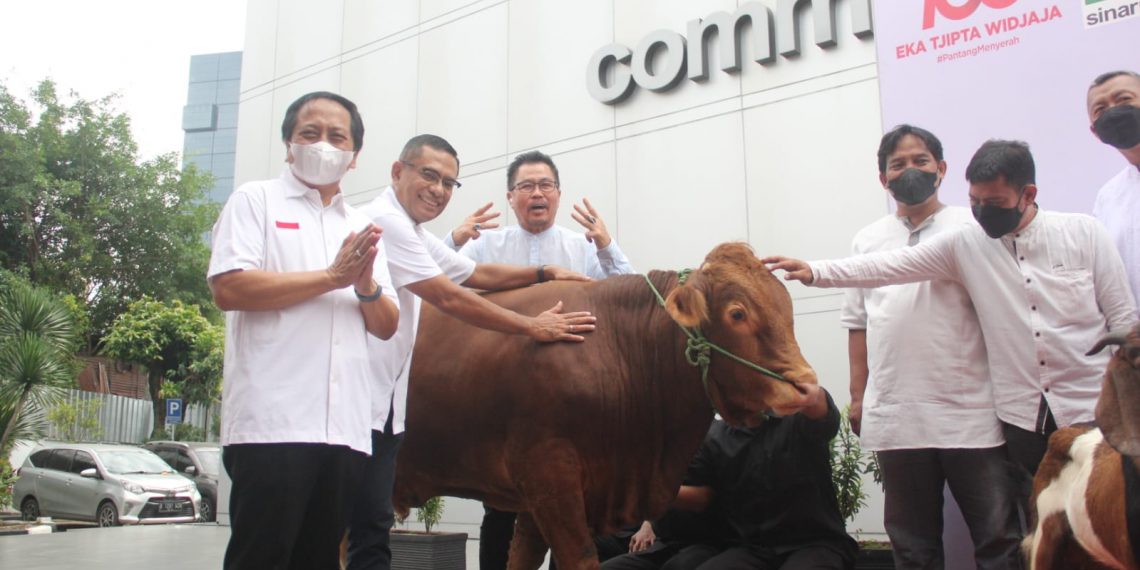 Smartfren Berikan Hewan Qurban