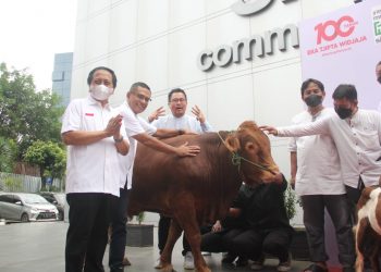 Smartfren Berikan Hewan Qurban