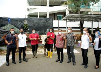 Jamkrindo Berbagi Hewan Kurban Untuk Masyarakat