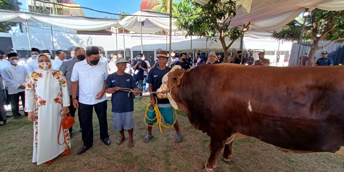 Penyerahan Hewan Kurban Bank Mandiri