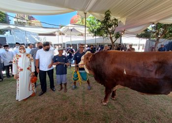 Penyerahan Hewan Kurban Bank Mandiri