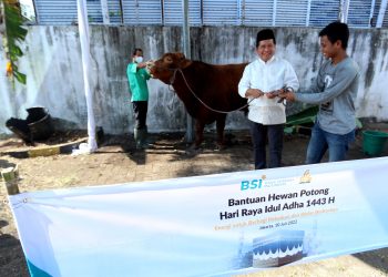 BSI Salurkan 3.691 Hewan Kurban ke Seluruh Indonesia