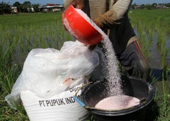 Gara-Gara Perang Rusia-Ukraina, Pemerintah Batasi Pemberian Pupuk ke Petani