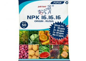 Pupuk NPK dan Urea Dinilai Tingkatkan Produktivitas Tanaman