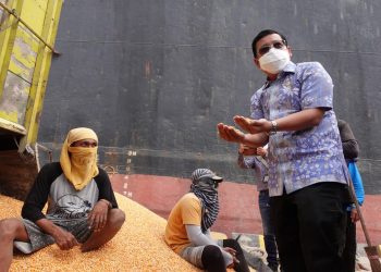 Badan Pangan Nasional/NFA Siapkan Penguatan Tata Kelola Jagung Nasional