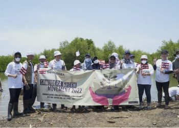 Atasi Abrasi di Pesisir Utara Bekasi, SIP Gandeng BWA Tanam 5000 Mangrove