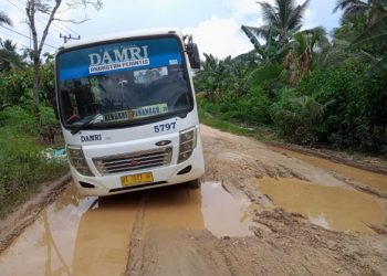 Melibatkan Bumn Dan Perusahaan Swasta Dalam Penyeleranggan Angkutan Jalan Perintis