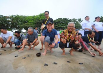BTN Ajak Bank Tabungan Dr-Asia Pasifik Lepas Tukik di Bali