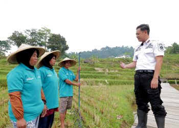 BSI Dorong Desa Binaan di Bogor Jadi Desa Sentra Padi