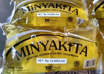 Program B35 jadi Penyebab Minyakita Langka di Pasaran