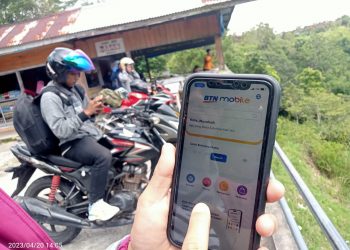 Mudik Makin Asyik dengan BTN Mobile