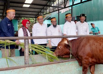 Desa Binaan, BSI Dukung Parangbanoa Angkat Potensi Peternakan Sapi Potong