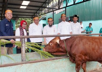 Peresmian Desa BSI Parangbanoa, Sulawesi Selatan