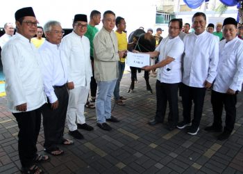 BTN Sumbangkan 650 Hewan Qurban