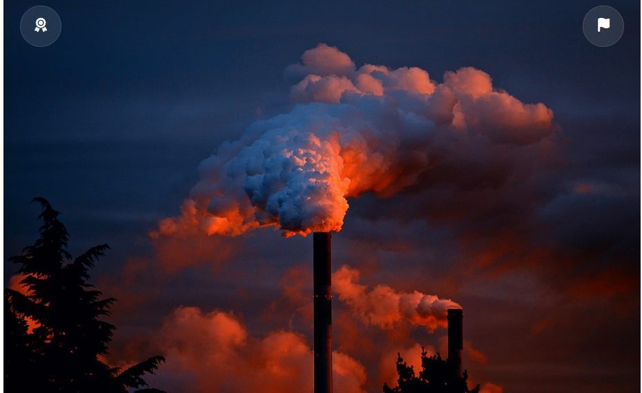 Salah Satunya Penyakit Jantung, Penyakit yang Sering Diderita Manusia Akibat Pencemaran Udara