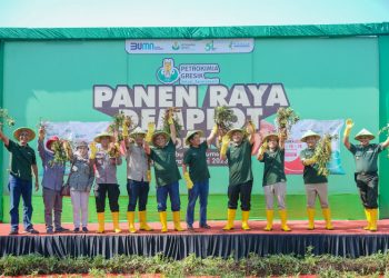 Produktivitas Ubi Cilembu Tani Sumedang Meningkat 35.29 Persen di Demplot Petrokimia Gresik