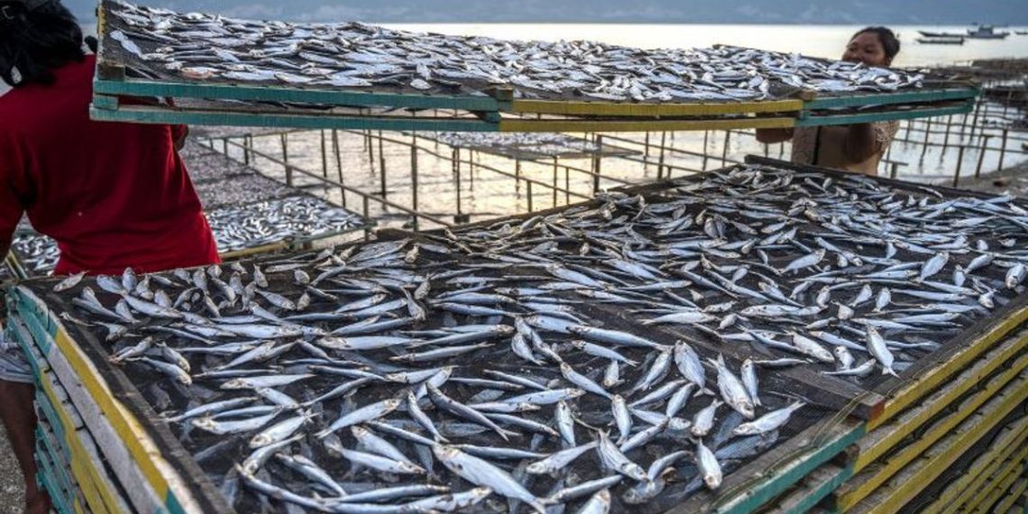 Produk PT Perikanan Indonesia Sudah Kantongi Sertifikat Halal