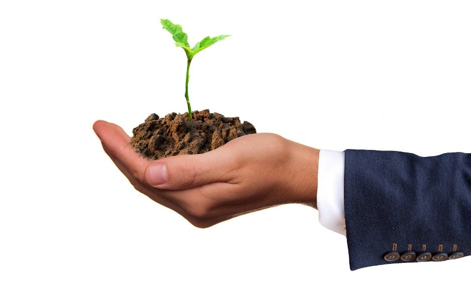 Gampang Cari Cuan! Ini Inspirasi Bisnis Modal Kecil yang Belum Banyak Pesaing