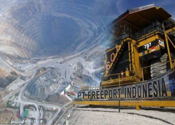 Freeport Belum Bisa Ekspor Tembaga, Dirjen Minerba Mengakui Memang Belum Keluarkan Surat Rekomendasi